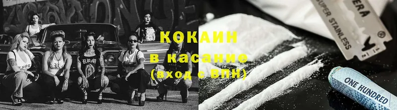 Cocaine Fish Scale  купить закладку  Ахтубинск 